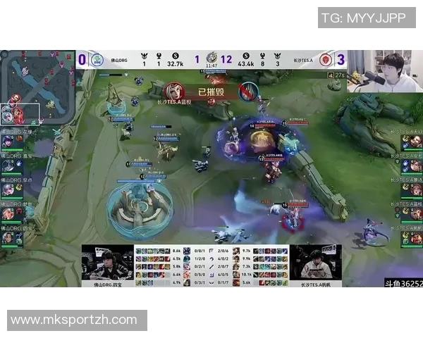 王者荣耀热议TES团队协作引发的争议与反思